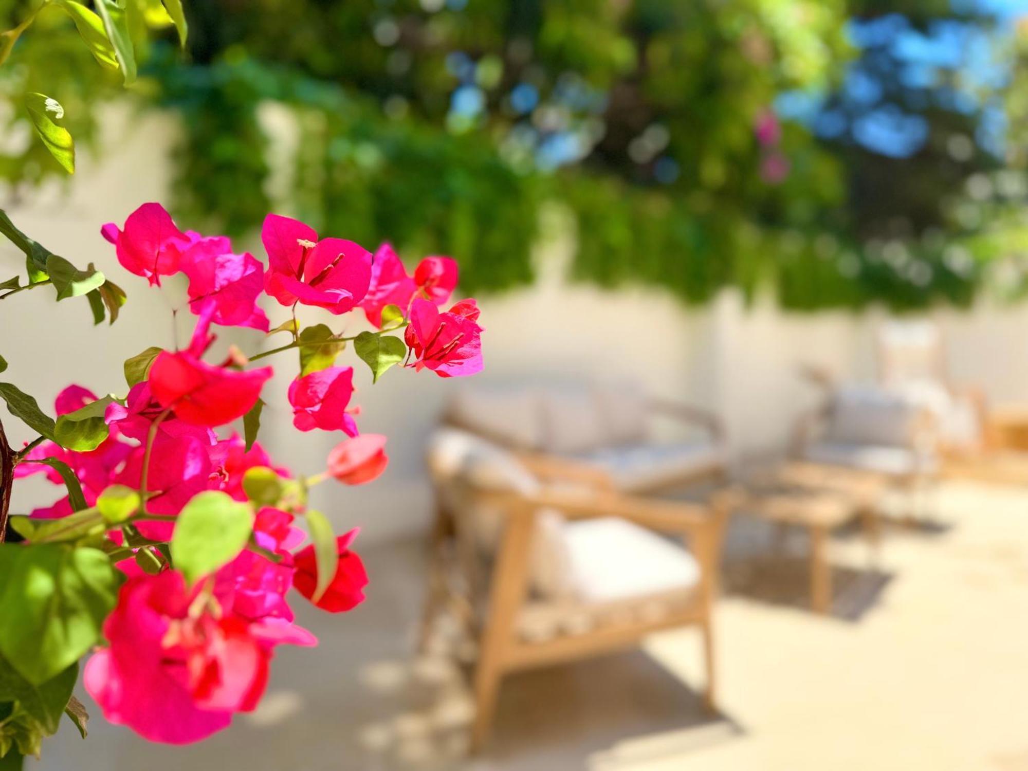 Bed and Breakfast Carbone XXI Катания Экстерьер фото